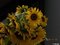 Emma ihre selbst gepflanzten Sonnenblumen.